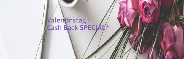 Valetinstags- Cash Back von Profit und Rente.