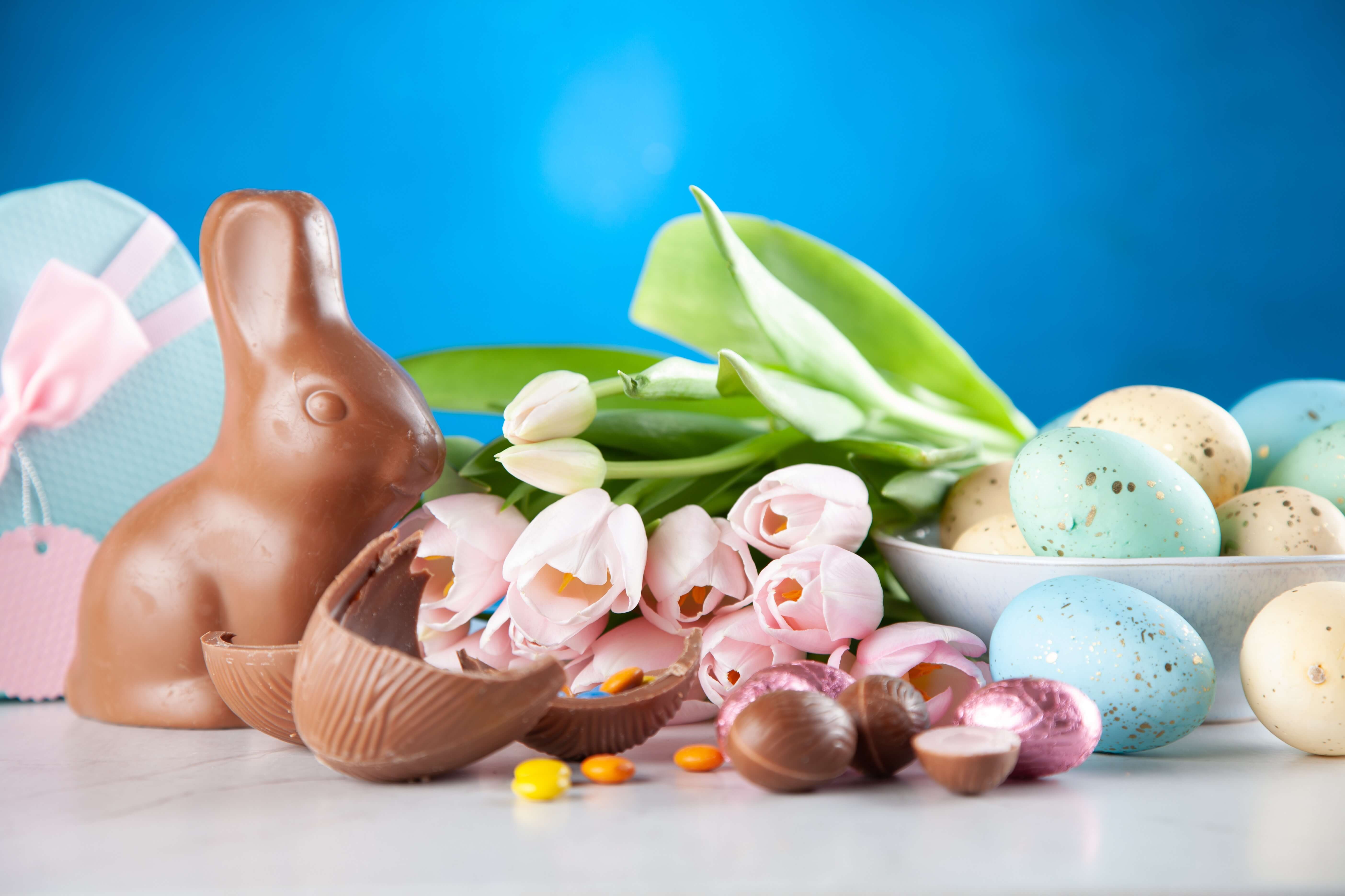 Links ein Schokoladenhase, Rechts Ostereier in verschiedenen Pastellfarben.
#Ostern #Eier #Profitundrente #Profit #Rente #Cashback #Tankrabatt #Mehrwert #Vorteilscashback #online #offline #Blog #EPS #ElitePremiumServices #EliteServices #CashBack #Ostercashback #Erfahrungen #Seriös #serious