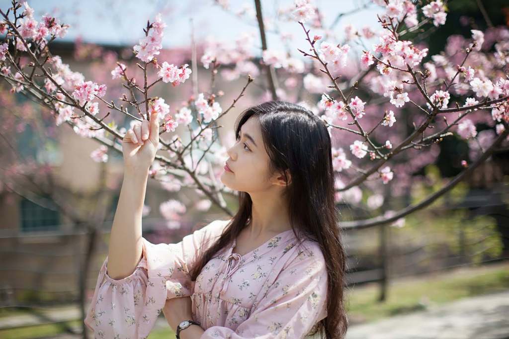 Bild von Profit & Rente:

Asiatische Frau mit Rosa Bluse steht unter einem Kirschblütenbaum und fasst eine Blüte an.

#Frühlingscashback #Frühling #Profitundrente #Profit #Rente #Cashback #Tankrabatt #Mehrwert #Vorteilscashback #online #offline #Blog #EPS #ElitePremiumServices #EliteServices #CashBack #Ostercashback #Erfahrungen #Seriös #serious