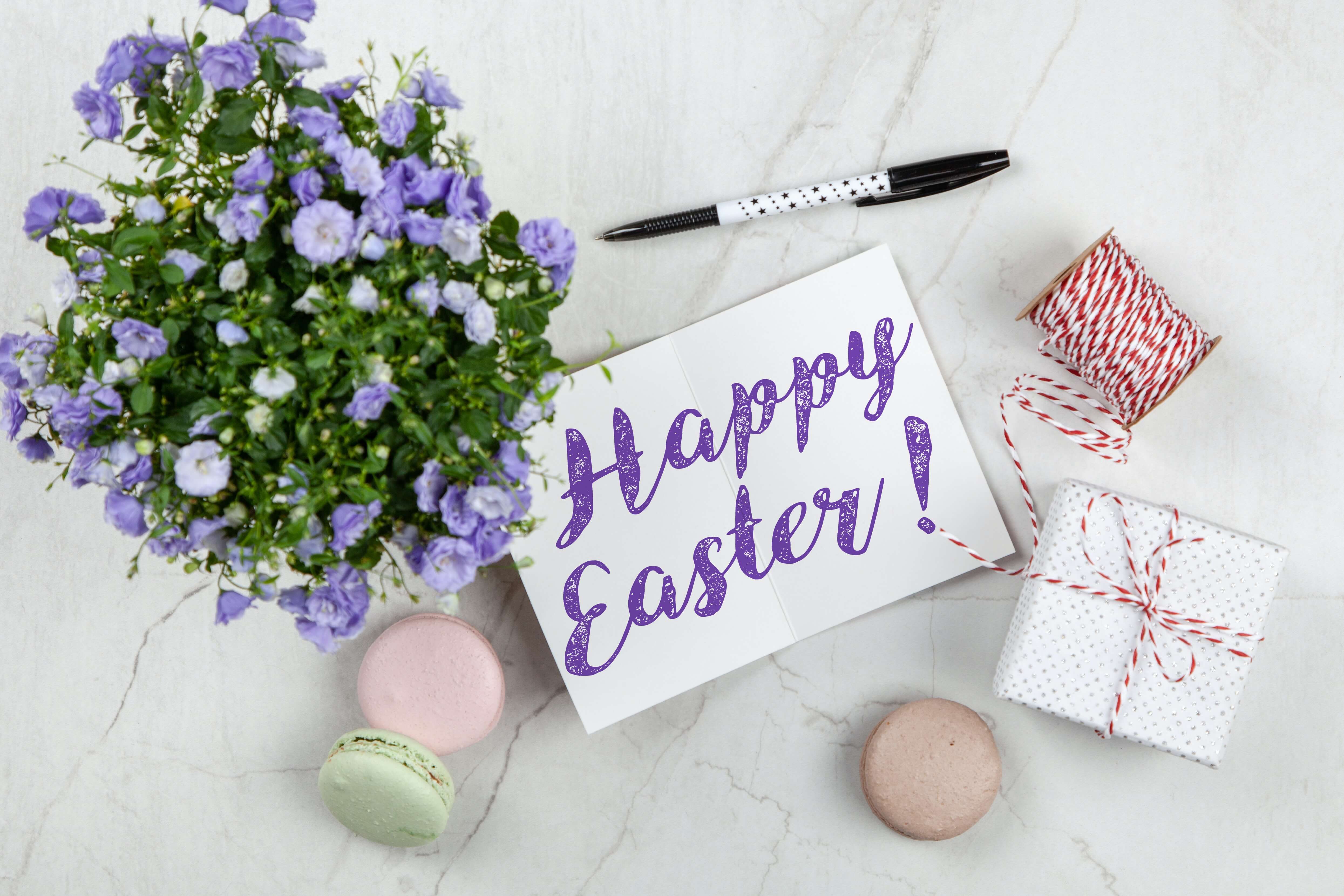 In der Mitte ein Blatt Papier mit der Aufschrift "Happy Easter"
#Ostern #Eier #Profitundrente #Profit #Rente #Cashback #Tankrabatt #Mehrwert #Vorteilscashback #online #offline #Blog #EPS #ElitePremiumServices #EliteServices #CashBack #Ostercashback #Erfahrungen #Seriös #serious