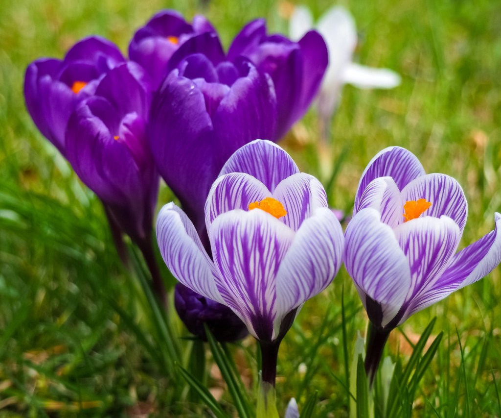 Der Frühlings Cash Back 2024 von Profit & Rente startet!