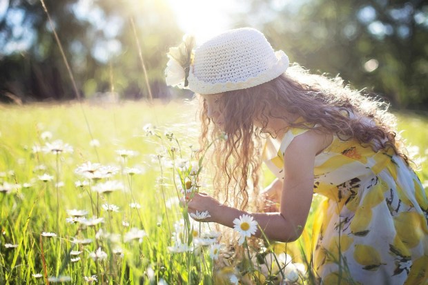 Der Frühlings Cash Back von Profit und Rente ist da!